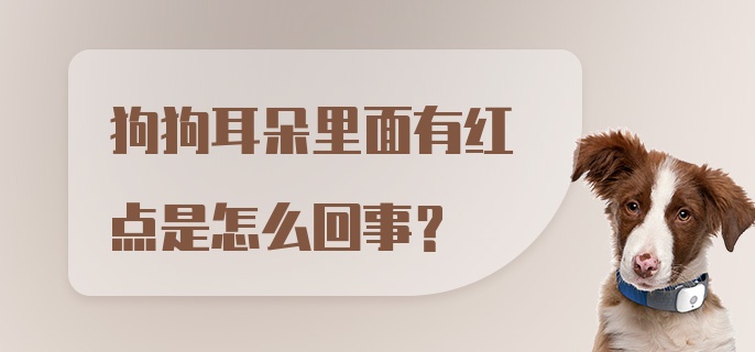 狗狗耳朵里面有红点是怎么回事？