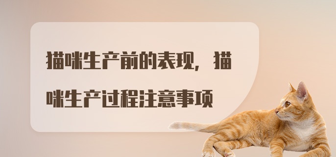 猫咪生产前的表现，猫咪生产过程注意事项