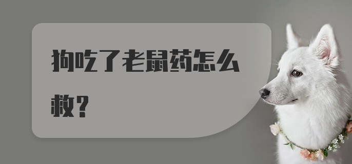 狗吃了老鼠药怎么救？