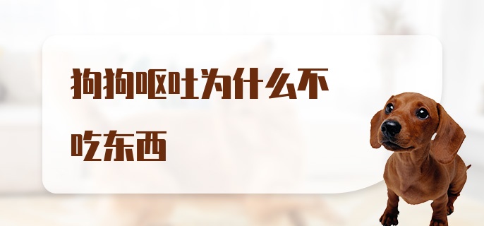 狗狗呕吐为什么不吃东西