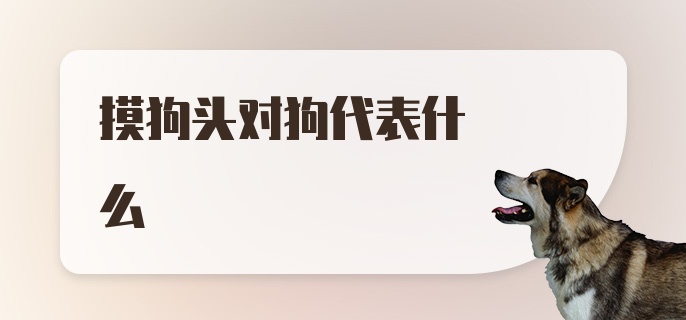 摸狗头对狗代表什么