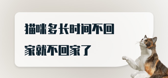 猫咪多长时间不回家就不回家了