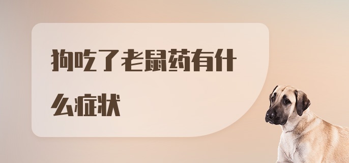 狗吃了老鼠药有什么症状