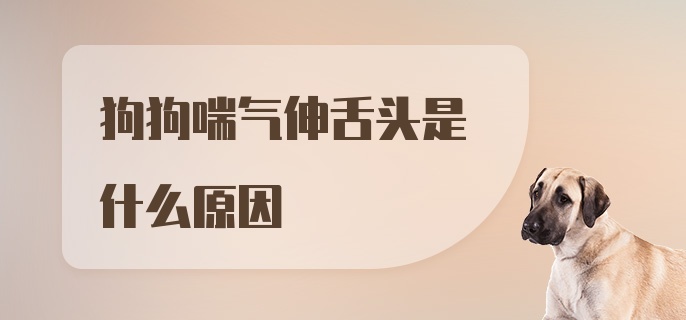 狗狗喘气伸舌头是什么原因