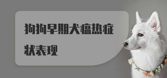 狗狗早期犬瘟热症状表现