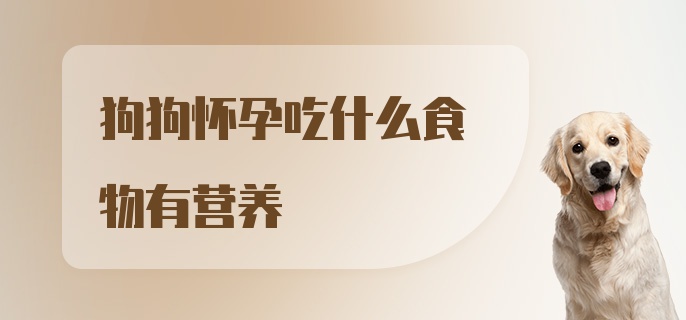 狗狗怀孕吃什么食物有营养