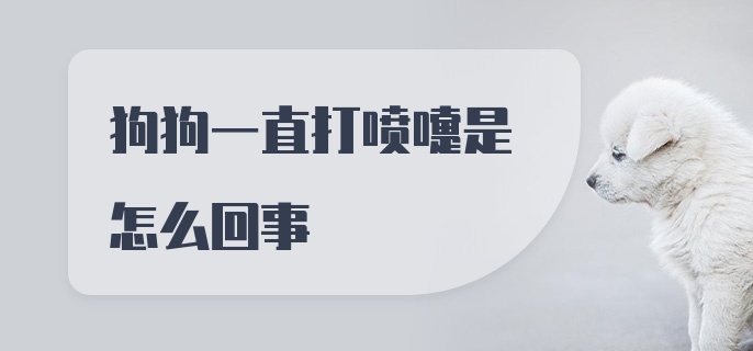 狗狗一直打喷嚏是怎么回事