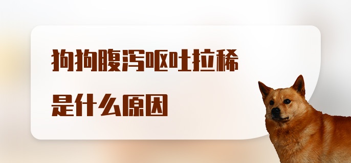 狗狗腹泻呕吐拉稀是什么原因