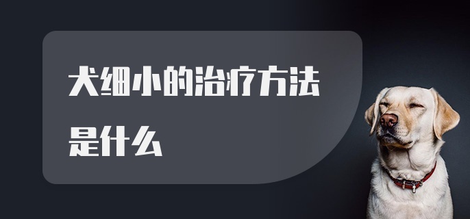 犬细小的治疗方法是什么