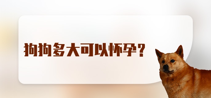 狗狗多大可以怀孕?