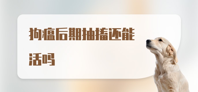 狗瘟后期抽搐还能活吗