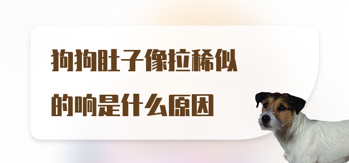 狗狗肚子像拉稀似的响是什么原因