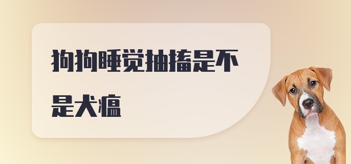 狗狗睡觉抽搐是不是犬瘟