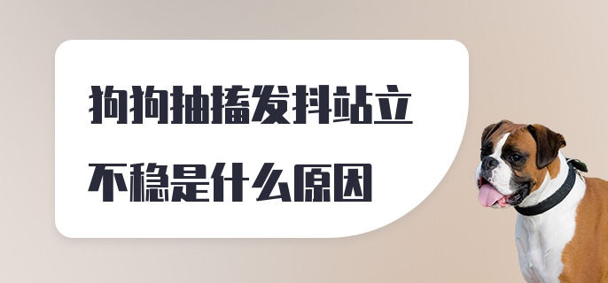 狗狗抽搐发抖站立不稳是什么原因