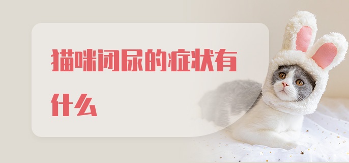 猫咪闭尿的症状有什么