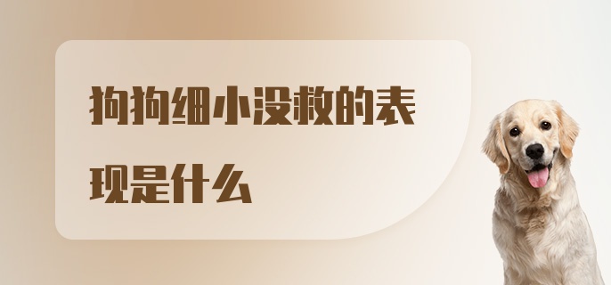 狗狗细小没救的表现是什么