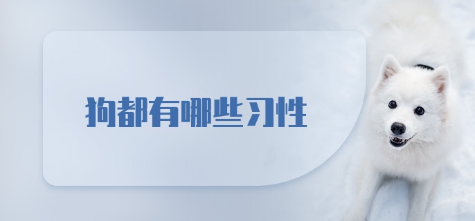 狗都有哪些习性