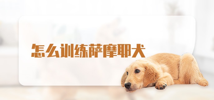 怎么训练萨摩耶犬