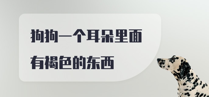 狗狗一个耳朵里面有褐色的东西