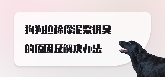 狗狗拉稀像泥浆很臭的原因及解决办法