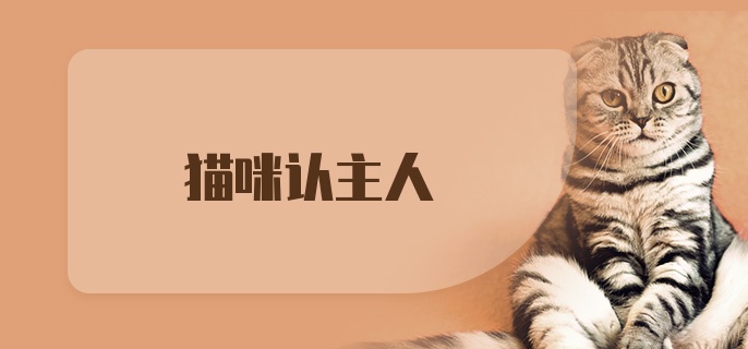 猫咪认主人