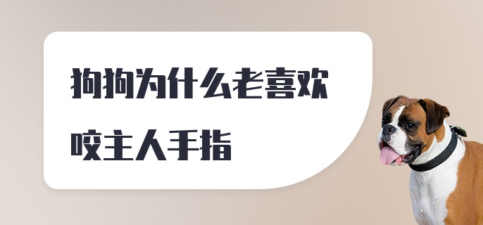 狗狗为什么老喜欢咬主人手指