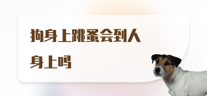 狗身上跳蚤会到人身上吗