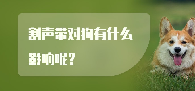 割声带对狗有什么影响呢？