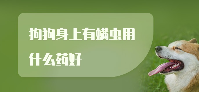 狗狗身上有螨虫用什么药好