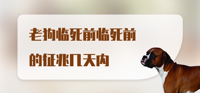 老狗临死前临死前的征兆几天内