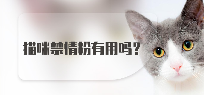 猫咪禁情粉有用吗？