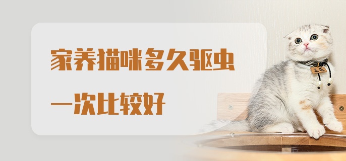 家养猫咪多久驱虫一次比较好