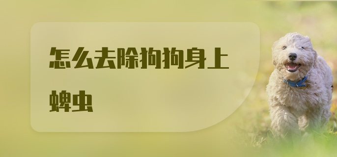 怎么去除狗狗身上蜱虫