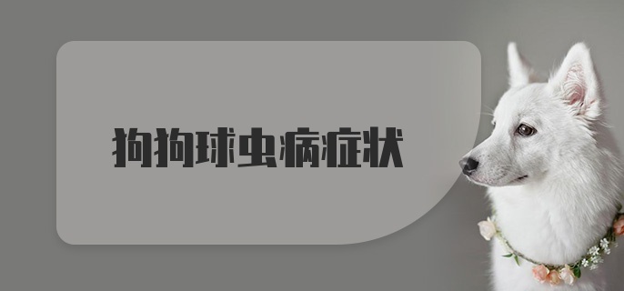 狗狗球虫病症状