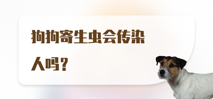 狗狗寄生虫会传染人吗?