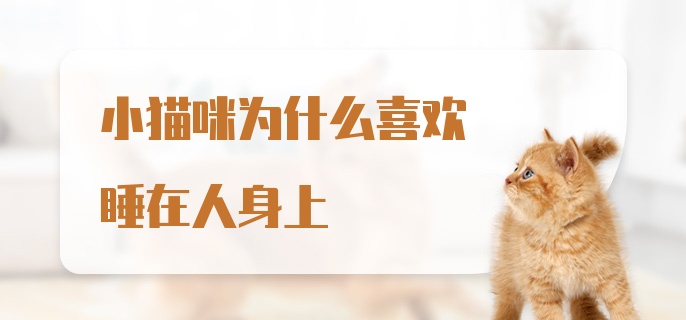 小猫咪为什么喜欢睡在人身上