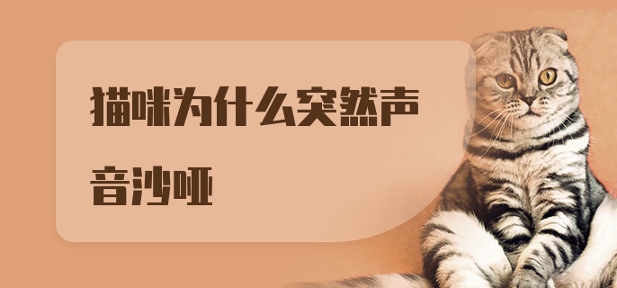 猫咪为什么突然声音沙哑