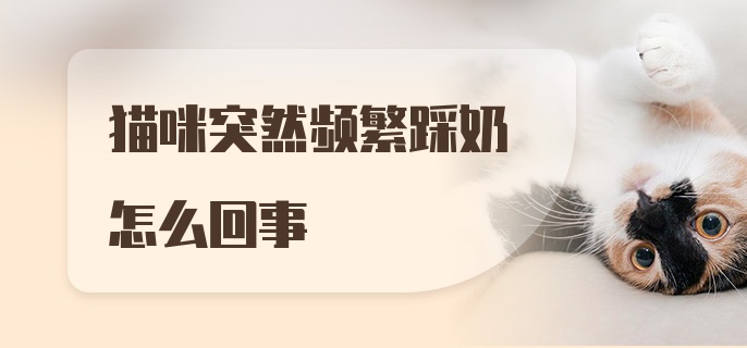 猫咪突然频繁踩奶怎么回事