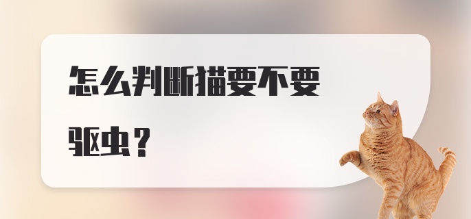 怎么判断猫要不要驱虫？