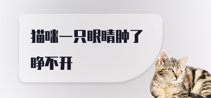 猫咪一只眼睛肿了睁不开