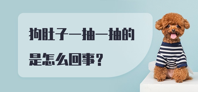 狗肚子一抽一抽的是怎么回事？