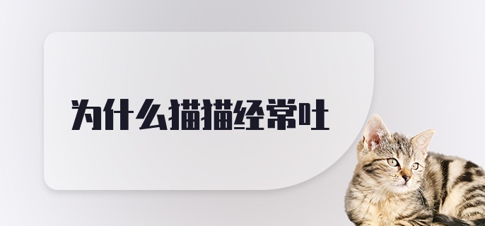 为什么猫猫经常吐