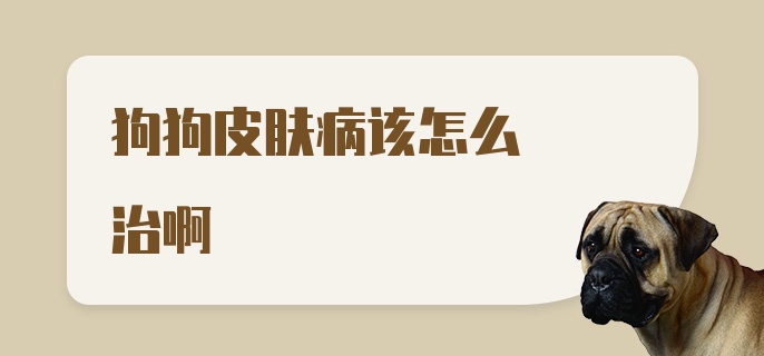 狗狗皮肤病该怎么治啊