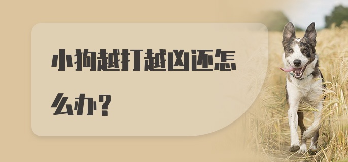 小狗越打越凶还怎么办？