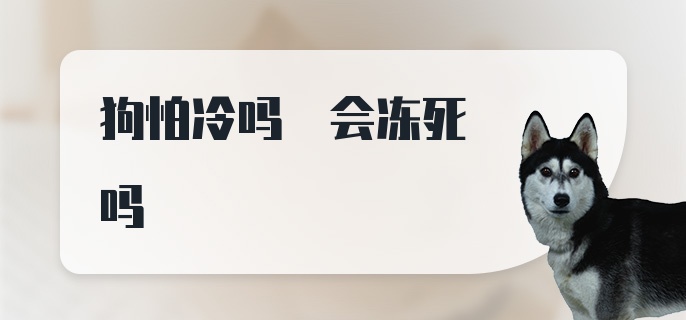 狗怕冷吗 会冻死吗