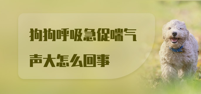 狗狗呼吸急促喘气声大怎么回事