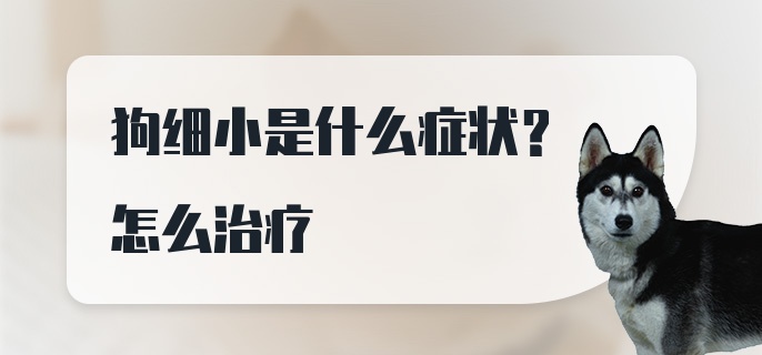 狗细小是什么症状？怎么治疗