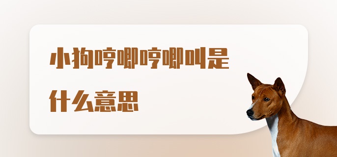 小狗哼唧哼唧叫是什么意思