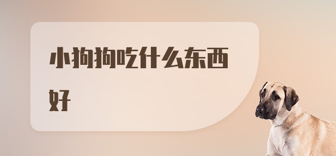 小狗狗吃什么东西好