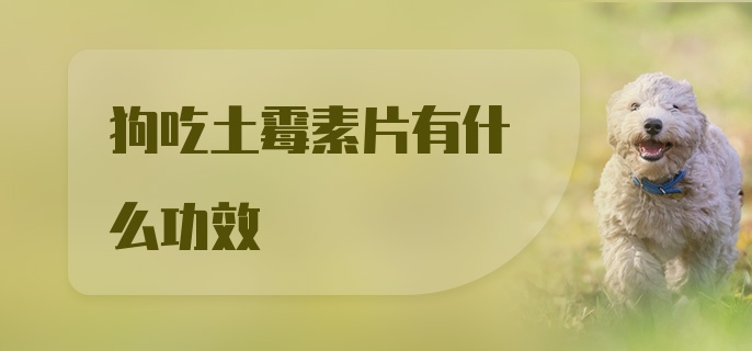 狗吃土霉素片有什么功效